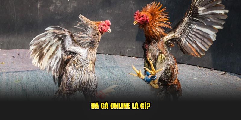 Giới thiệu về đà gá J88